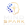 Mind Spark Academy